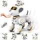  Per programmare e codificare Robop INTERACTIVE ROBO DOG REMOTE CONTROLLED TOUCH