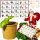  CALENDARIO DELL'AVVENTO Piante da coltivazione fai da te set 24 scatole Regalo Natale