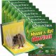  10x RATTI TRAPPOLA PER MOUSE BUZZRAP LEP PAW