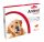  Set vitaminici per cani e gatti Biovico capsule gelatinose 7,26 g 30 pz.