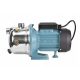  Pompa di superficie polacca 1100 W 3600 l/h