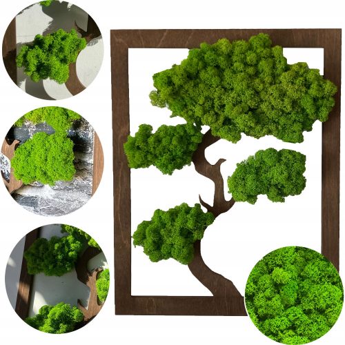 QUADRO DI MUSCHIO, ALBERO DI MUSCHIO, ALBERO BONSAI, QUADRO DI ALBERO DI MUSCHIO, REGALO 40 X 30