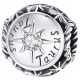  CHARMS Segno zodiacale TORO Pietra portafortuna Argento