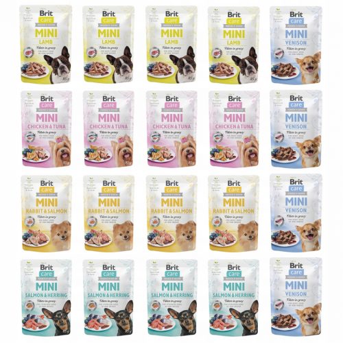  BRIT CARE MINI cibo umido per cani mix di gusti 20x85g