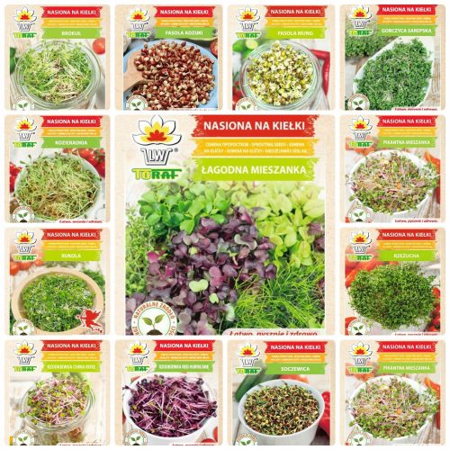  SET DI SEMI PER GERMOGLI VARIETÀ MIX EASY GROWTH MICROGREENS 21 PZ. GRATUITO