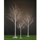  MEGA LED ALBERO DI BETULLA 150cm, Bianco Freddo, LUCI