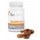  Set vitaminici per cani e gatti Vet Expert capsule twist-off 0,1 g 60 pz.