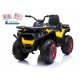  Quad batteria XMX607 Giallo