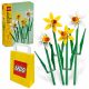  LEGO ICONS 40747 Narcisi + Busta di carta LEGO 6315786 giallo 24x8x18 cm