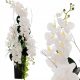 ORCHIDEA DECORAZIONE XXL SOGGIORNO DECORAZIONE ORCHIDEA 120CM