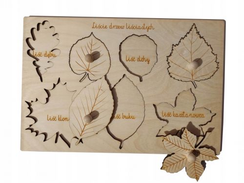  Puzzle in legno con foglie naturali Montessori, educativo