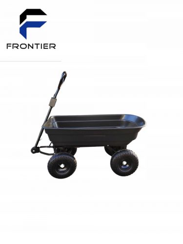  Passeggino FRONTIER 75 anni