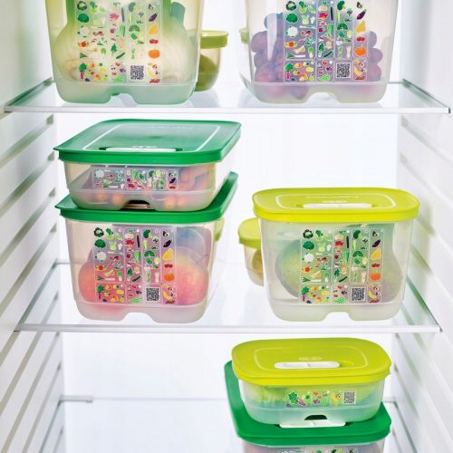 Ventsmart Maxi Tupperware Essentials SET da 5 PZ + altri 4 prodotti