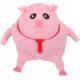  Piggy Squeeze Toy Regali per studenti per bambini