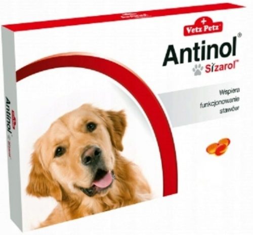  Antinol Sizarol 120 capsule PER ARTICOLAZIONI