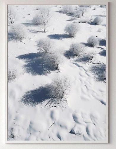 Poster Natura - Paesaggi di boschi bianchi, piante senza cornice 70 x 100 cm