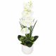 HA7425 ORCHIDEA ARTIFICIALE