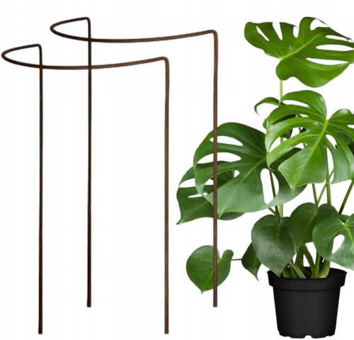  2× Supporto per cespugli, fiori, piante pergola D40 H60cm singola semicircolare