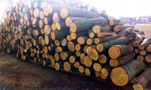 Rulli in legno di quercia in quantità all'ingrosso