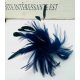  Head fascinator SPILLA PIN Copricapo PIUMA BLU MARINO