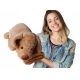  Coperta per cani peluche coperta cuscino cane 3in1 peluche mascotte set 2in1