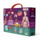  Set educativo 3D per bambini Corpo umano con AR FastAR Kids