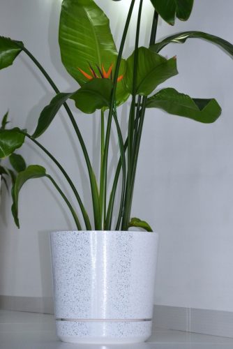  Vaso da fiori Kerd 31 cm x 32,5 x 31 cm diametro 32,5 cm plastica bianca, cromata, nera, sfumature di grigio e argento, multicolore