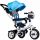  Ecotoys 738 Triciclo blu