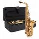  SET CUSTODIA PER SAX ALTO MEMPHIS MSA-100G SASSOFONO ALTO