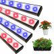  GROW set per la coltivazione di piante LUMI FLORA 1000 W