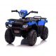  Quad a batteria - Blu