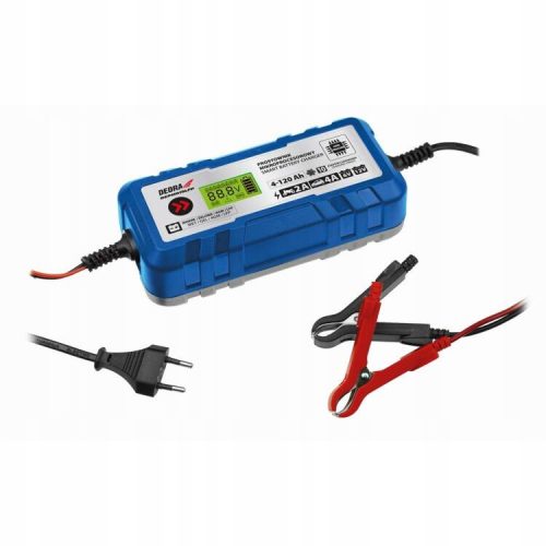  Raddrizzatore a microprocessore, carica batteria, DEDRA DEPM019LFP