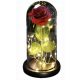  ROSA ETERNA IN VETRO, LED LUMINOSA, REGALO SAN VALENTINO, ROSA ROSSA