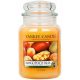  Candela tradizionale in paraffina Mango Yankee Candle 1 pz.