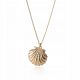  Collana conchiglia, oro 925 Gift GIORRE