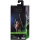  Action figure di Wicket (Il ritorno dello Jedi) Star Wars