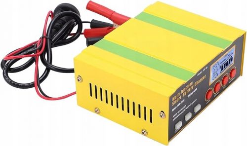  Caricabatteria Auto 12V 24V Multifunzionale 220W