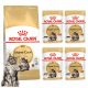  Royal Canin Maine Coon Cibo per gatti adulti secco 0,4 kg + umido 4x85g