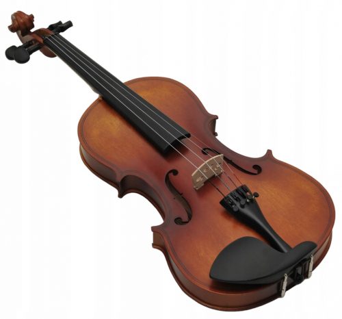  VIOLINO 4/4 - SET INTERO