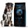  ALIMENTO SECCO PER CANI DA PASTORE LABRADOR HUMMER MANTENIMENTO BASE 1KG