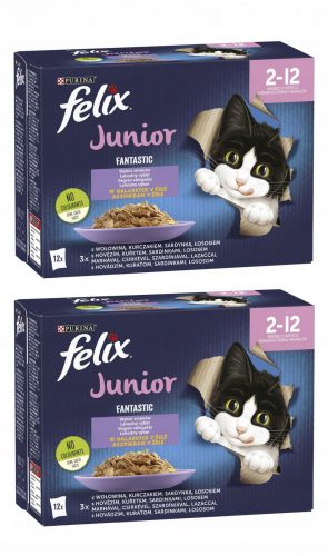  Felix cibo umido mix di gusti 0,5 kg