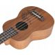  UKULELE SOprano MIX54 + SET DI 10 ACCESSORI