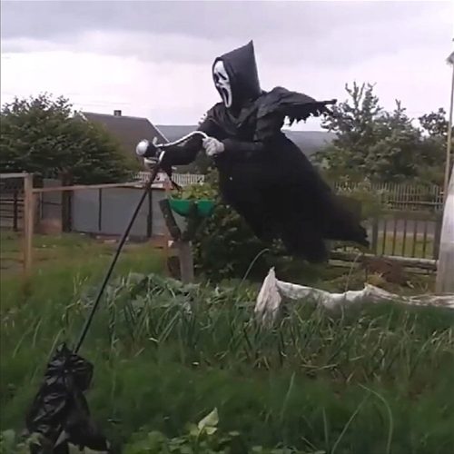  Decorazioni da giardino di Halloween che urlano Spaventapasseri