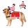  Costume da equitazione per cani per Halloween e Natale