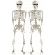  2x SCHELETRI DA APPENDERE 35 cm SET SCHELETRI ORNAMENTO DECORAZIONE HALLOWEEN