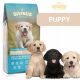  DIVINUS PUPPY Alimento secco per cuccioli 20 kg