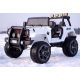  JEEP ELETTRICA 2 POSTI 24V 4x120W PILOTA AMORY