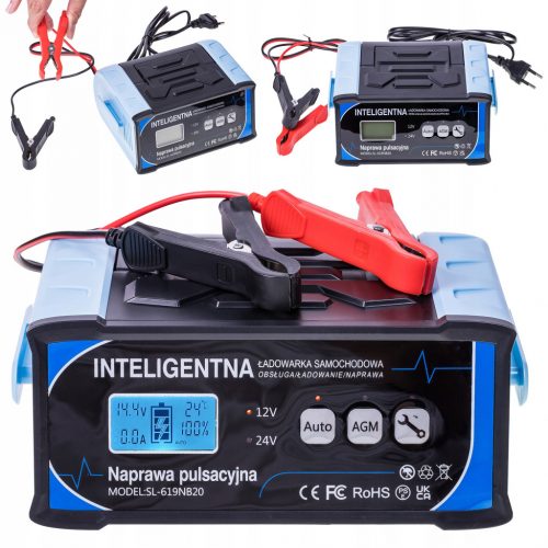  Raddrizzatore batteria auto intelligente 24V 12V 11A AGM START-STOP