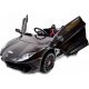  BATTERIA AUTO LAMBORGHINI AVENTADOR 12V 2x45W