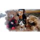  Set di 6 peluche